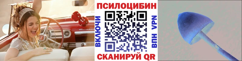 Псилоцибиновые грибы Psilocybe  Купить закладки  Иваново 