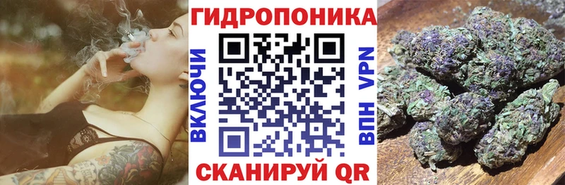 Купить  Иваново  Шишки марихуана ГИДРОПОН 